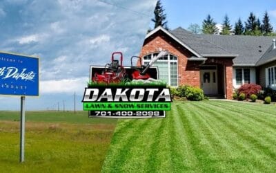 Mid-July Lawn Care Tips for North Dakota: Hangin’ On Through the Heat