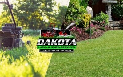 DIY vs. Professional Lawn Care: What’s Really Worth It?