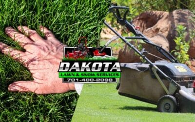 Top 5 Mistakes Homeowners Make with Lawn Care (and How to Avoid Them)