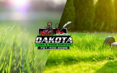 Secure Your Spot for Summer 2025 Lawn Care with Dakota Lawn & Snow Services