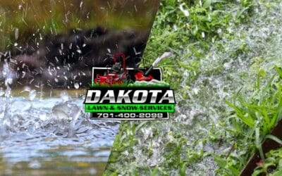 Helping Your Lawn Recover After Heavy Rain: A Guide for Bismarck-Mandan Homeowners