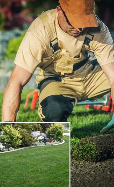 landscaping-sod-yard-v2